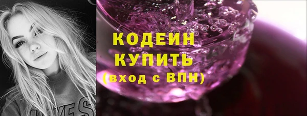 гидра Абаза