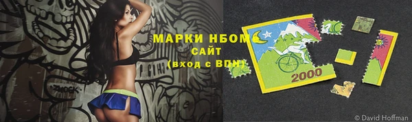 гидра Абаза