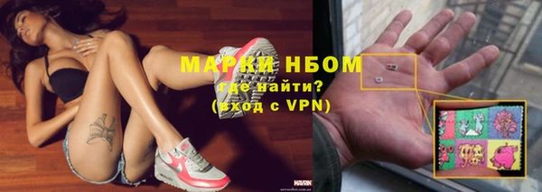 гидра Абаза