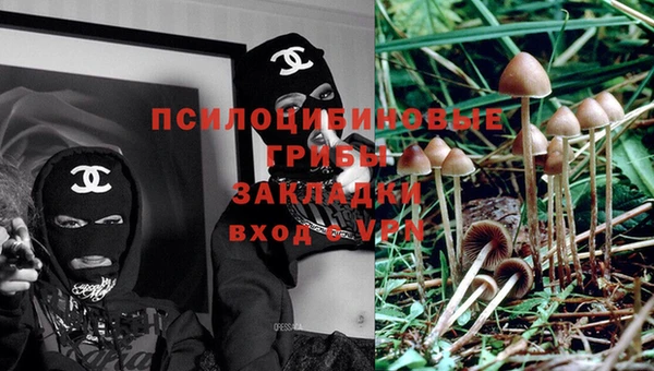 гидра Абаза