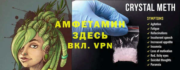 гидра Абаза