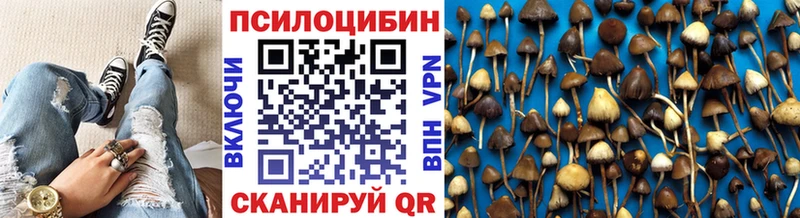 Галлюциногенные грибы Psilocybe нарко площадка официальный сайт Владимир