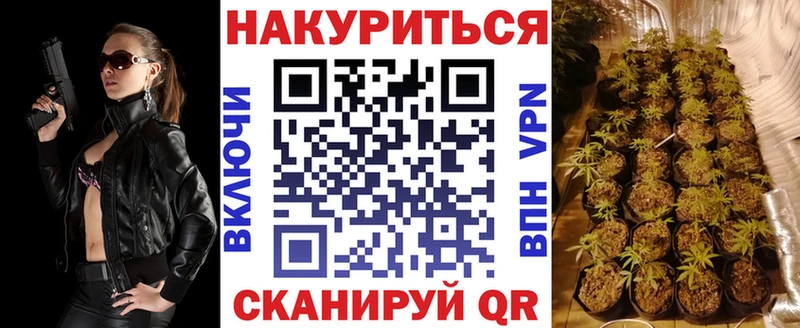 где найти   Владимир  Бошки Шишки White Widow 